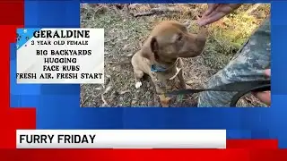 Furry Friday: Meet Geraldine