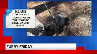 Furry Friday: Meet Klaus