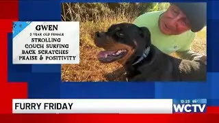 Furry Fridays: Meet Gwen!