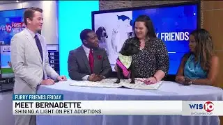 Furry Friends Friday Bernadette