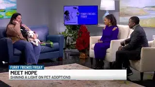 Furry Friends Friday - Hope