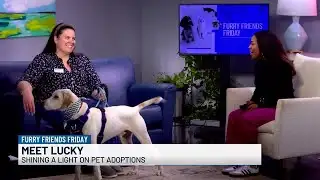 Furry Friends Friday - Lucky