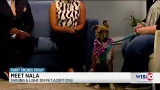 Furry Friends Friday Nala