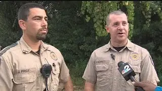 FWC: Buckingham cobra captured