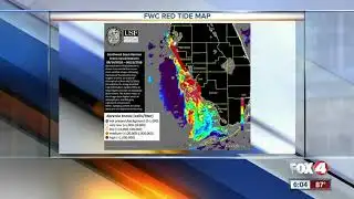 FWC gives an update on where red tide is located