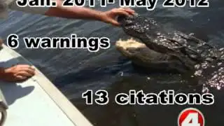 FWC issues several citations to people illegally feeding gators
