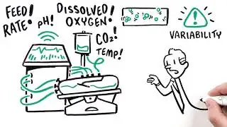 G-Rex: Revolutionizing T Cell Therapy