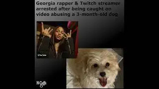 GA rapper & Twitch streamer Aspen Kartier arrested after video shows her abusing a 3-month-old dog