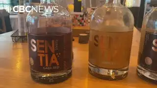 GABA Mocktails: getting a buzz without the alcohol?