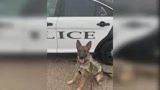 Galesburg K9 officer set to retire