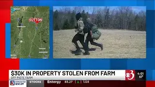 Game camera captures alleged $30K property theft from Vt. farm
