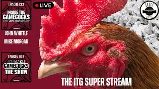 Gamecocks Live:  Post Scrimmage Updates | Recruiting Continues