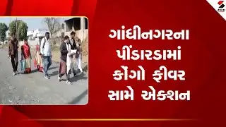 Gandhinagar | ગાંધીનગરના પીંડારડામાં કોંગો ફીવર સામે એક્શન | Pindarda | Congo Fever | Health