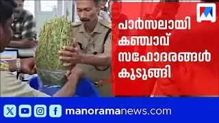 മേഘാലയില്‍ നിന്ന് പാര്‍സല്‍; പരിശോധിച്ചപ്പോള്‍ കഞ്ചാവ്; സഹോദരങ്ങള്‍ അറസ്റ്റില്‍ | Ganja | Palakkad