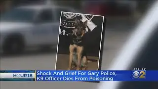 Gary Police Dog Poisoned