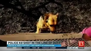 Gary police dog shot