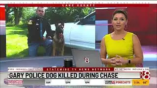 Gary police dog shot, killed by suspect