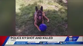 Gary police K-9 shot, killed during traffic stop