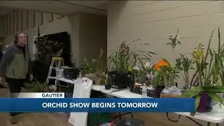 Gautier orchid show begins Friday