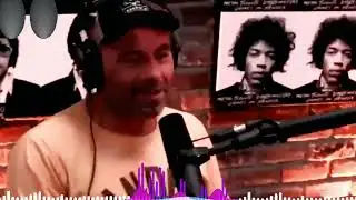 Gavin Newsom LEFT SPEECHLESS After Rogan & Gutfeld EXPOSE Him LIVE!