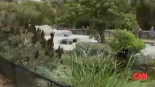 Gay penguins split up