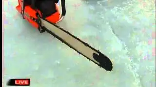 GDW7MON Sturgeon Preview