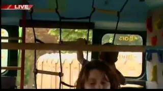 GDW8SUN Fox Fun in the Cities