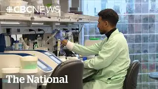 Genetic screening project checking 100,000 people for hereditary cancer risks