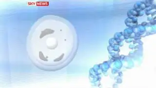 Genetics Breakthrough Could Save Babies