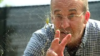 Georgia Gwinnett College research shows potential path for Joro spider control