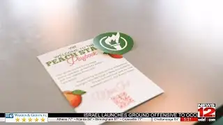 Georgia residents invited to panel discussion with lawmakers