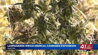 Georgia state lawmakers weigh expanded access to medical cannabis