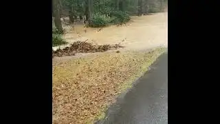 Georgia Under Tornado Watch as Floodwaters Rise