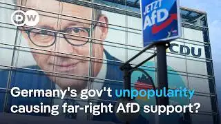 German poll shows increasing support for far-right AfD party | DW News