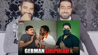 GERMAN SHEPHERD EXPOSED | HARSH RAJPUT | Pakistani Reaction