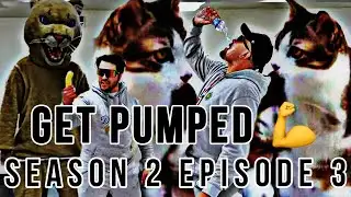 GET PUMPED 💪 | Puma News S2 E3