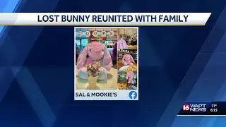 #GetHoppyHome: A stuffed bunny was lost but had fun