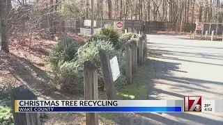 Getting rid of Christmas trees in Wake, Durham counties