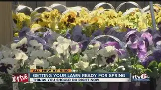 Getting your lawn ready for spring