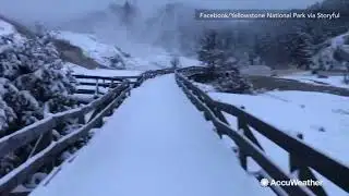 Giant snowflakes fall down as winter storm hits Washington