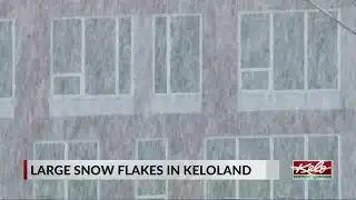 Giant snowflakes: Why they