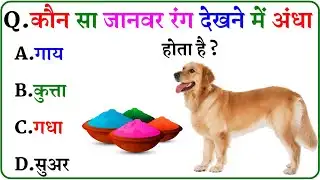 GK Question || GK In Hindi || GK Question and Answer || GK Quiz ||
