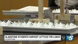 Gladstone students harvest for new agri-science program