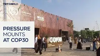 Global activists call for accountability at COP30 in Brazil