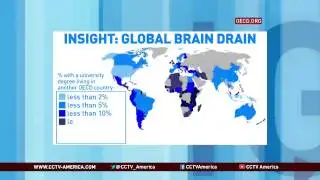 Global Brain Drain Issue