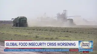 Global food insecurity crisis worsening | Rush Hour