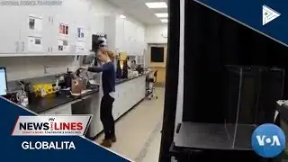 GLOBAL NEWS: Scientist study tiny creatures with big impact on the ocean