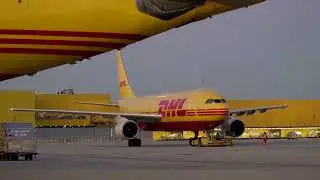 Global postal services suspend US-bound mail after US ends de minimis rule | REUTERS