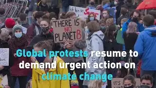 Global protests resume to demand urgent action on climate change