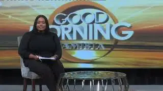 GMN INTERVIEW | 2024 Botswana general elections - nbc